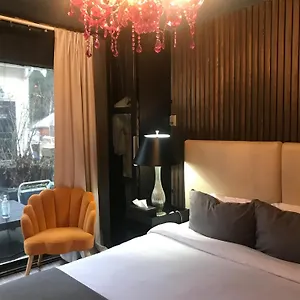 Style Basement , Vancouver Canada
